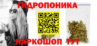 дживик Кимры