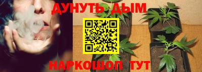 мдма Кингисепп